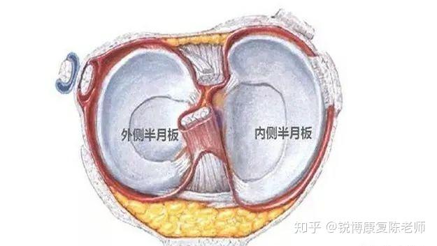 健康解码_新华网(图1)