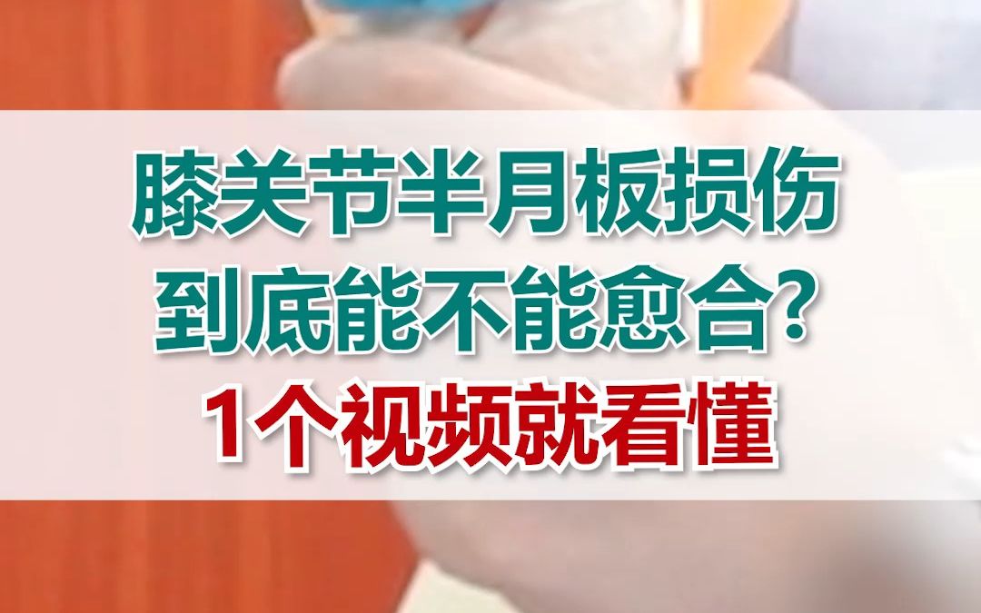 半月板磨损(图1)