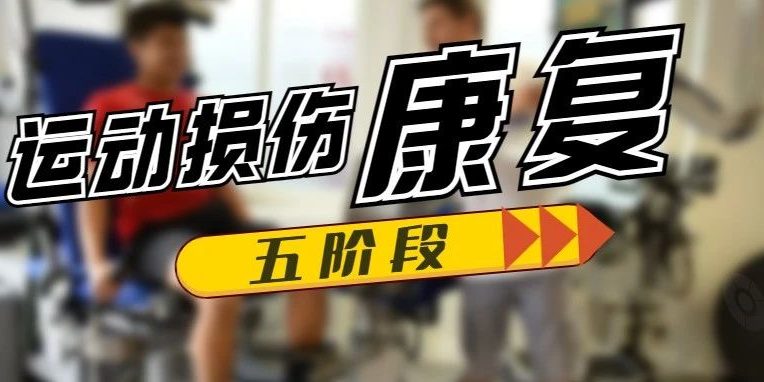 运动损伤与康复(图1)
