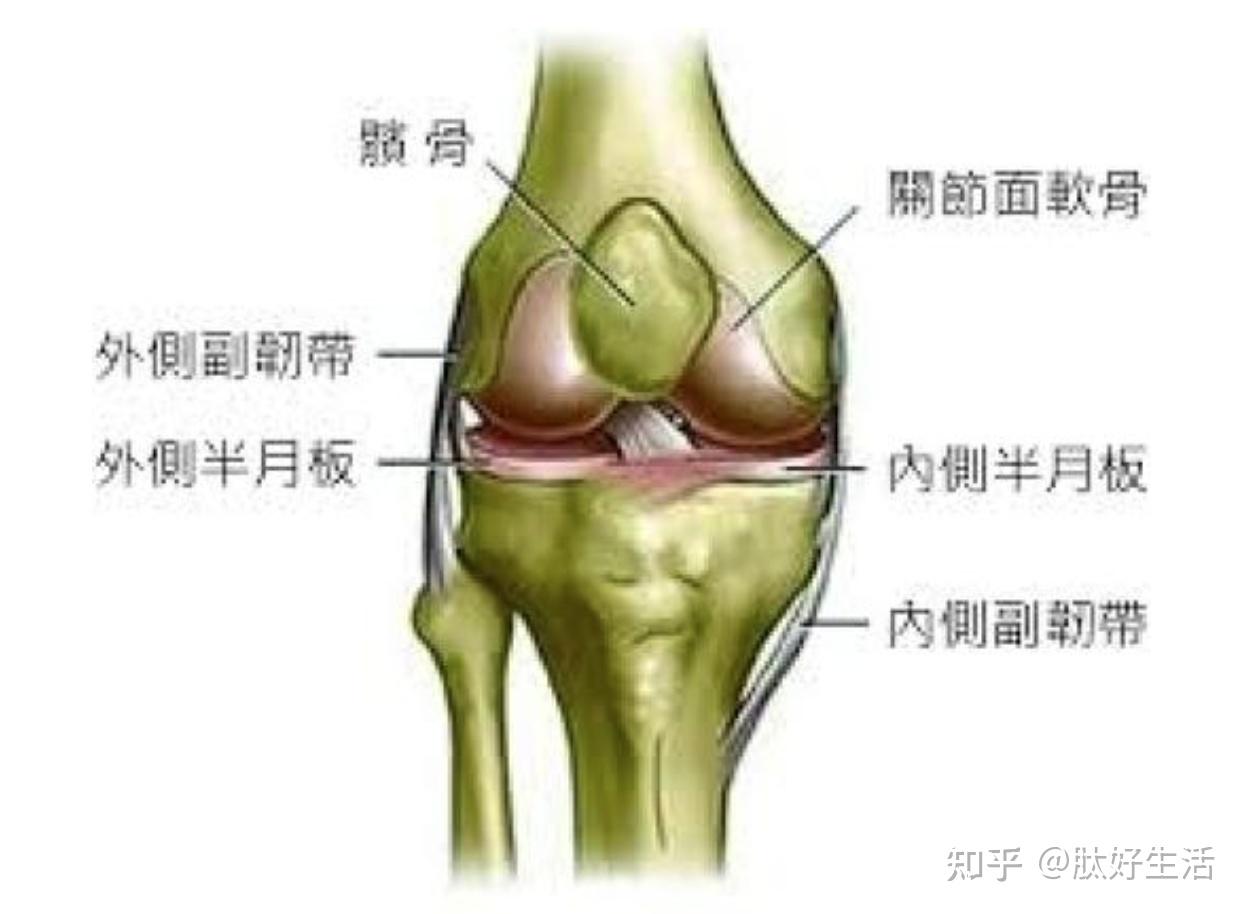 家财万贯也白费!76岁的导演张艺谋最终还是步上了张纪中的后尘(图1)